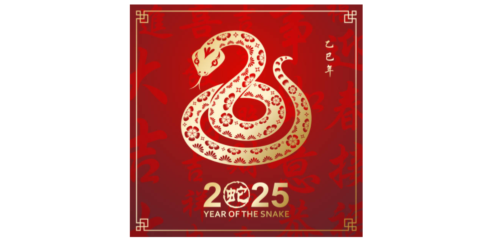 2025 Año de la Serpiente